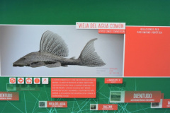 Entre los dispositivos didácticos se destaca el Acuario Interactivo,. Está formado por una serei de grandes pantallas táctiles que permiten seleccionar distintas especies de peces para obtener información sobre las mismas.