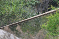 Uno de los azudes con su microembalse, sobre el arroyo Las Guachas.
