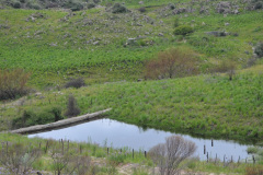 Las localidades de Cruz Chica y Cruz Grande son abastecidas de agua por el arroyo Cruz Chica, que no está embalsado, y el arroyo Los Laureles y Las Guachas, que bajan de las sierras. Sobre el curso alto de estos arroyos se construyeron cinco pequeños azudes, de los cuales se toma agua mediante cañerías.