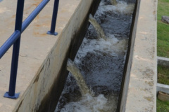El agua a la salida de los decantadores, a punto de ingresas a la etapa de filtrado.