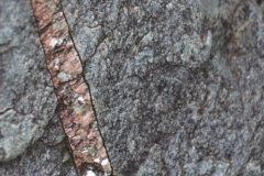 Las rocas de la zona relatan su pasado geológico. En la imagen, una roca de gneiss de unos 500 millones de años. En una fisura del gneiss (gris veteado) se filtró, 200 millones de años más tarde, el magma que formaría una lámina de granito (con vetas rosadas).