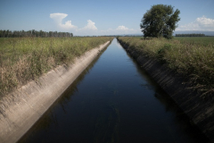 El canal transporta el agua a cielo abierto, aunque algunas partes del mismo han sido entubadas recientemente. El entubado contribuiría a disminuir pérdidas de agua y a evitar la contaminación de las mismas.