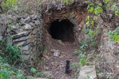 En Oro Grueso, también en el sur del departamento Cruz del Eje, se trabajaron  desde mediados del siglo XIX minas de oro. Las explotaba la familia dueña del terreno en el cual se encuentran. Se extraía el oro por medio artesanales, de túneles excavados en la montaña. Algunos de esos túneles pueden visitarse hoy.