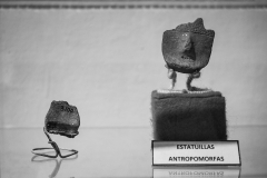 Las colecciones arqueológicas del museo corresponden a vestigios materiales de los pueblos originarios que habitaron la región de Ansenuza. Como estas estatuillas con forma humana.