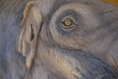 En el Parque del Pleistoceno hay réplicas de grandes mamíferos ya extinguidos como Gliptodontes (similares a enormes armadillos) y Mastodontes (parecidos a grandes elefantes). Formaban la Megafauna del Período Terciario o Cenozoico.