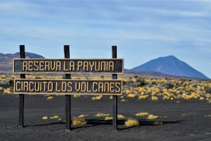 MENDOZA: Volcanes DE LA PAYUNIA