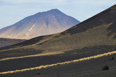 La Payunia está dominada por varios volcanes entre los que se distingue por su forma y tamaño el Payén Liso. Su cumbre está a 3.715 msnm y es visible desde una gran distancia.