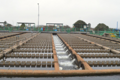 Luego de la mezcla del agua cruda con los floculantes, la mezcla pasa a los decantadores.