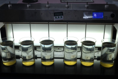 Desde el laboratorio de la planta se hacen controles de calidad de todos los procesos en forma permanente.