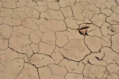 El Quicho se encuentra muy cerca de las Salinas Grandes. Es una zona de clima seco, con escasas precipitaciones. El suelo muestra los rastros de la sequía.